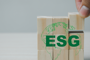 ESG Reports of Buildings