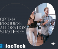 Optimal Resource Allocation Strategies